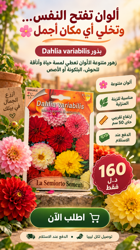 بذور الازهار